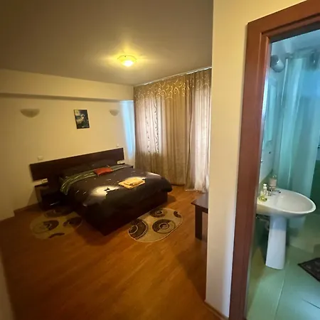 Pensiunea Artemis 3*