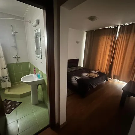 Pensiunea Artemis 3*