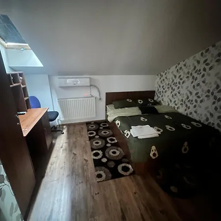 Pensiunea Artemis בית הארחה