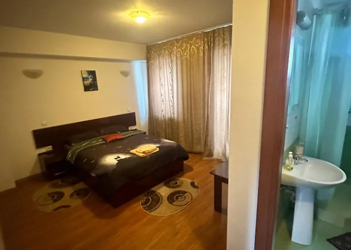 Pensiunea Artemis 3*