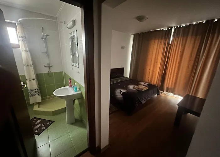 Pensiunea Artemis 3*